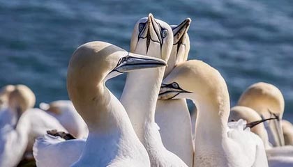 爱游戏下载_ 2025年的电竞赛事趋势：技术与创意齐飞，爱游戏电子 竞技