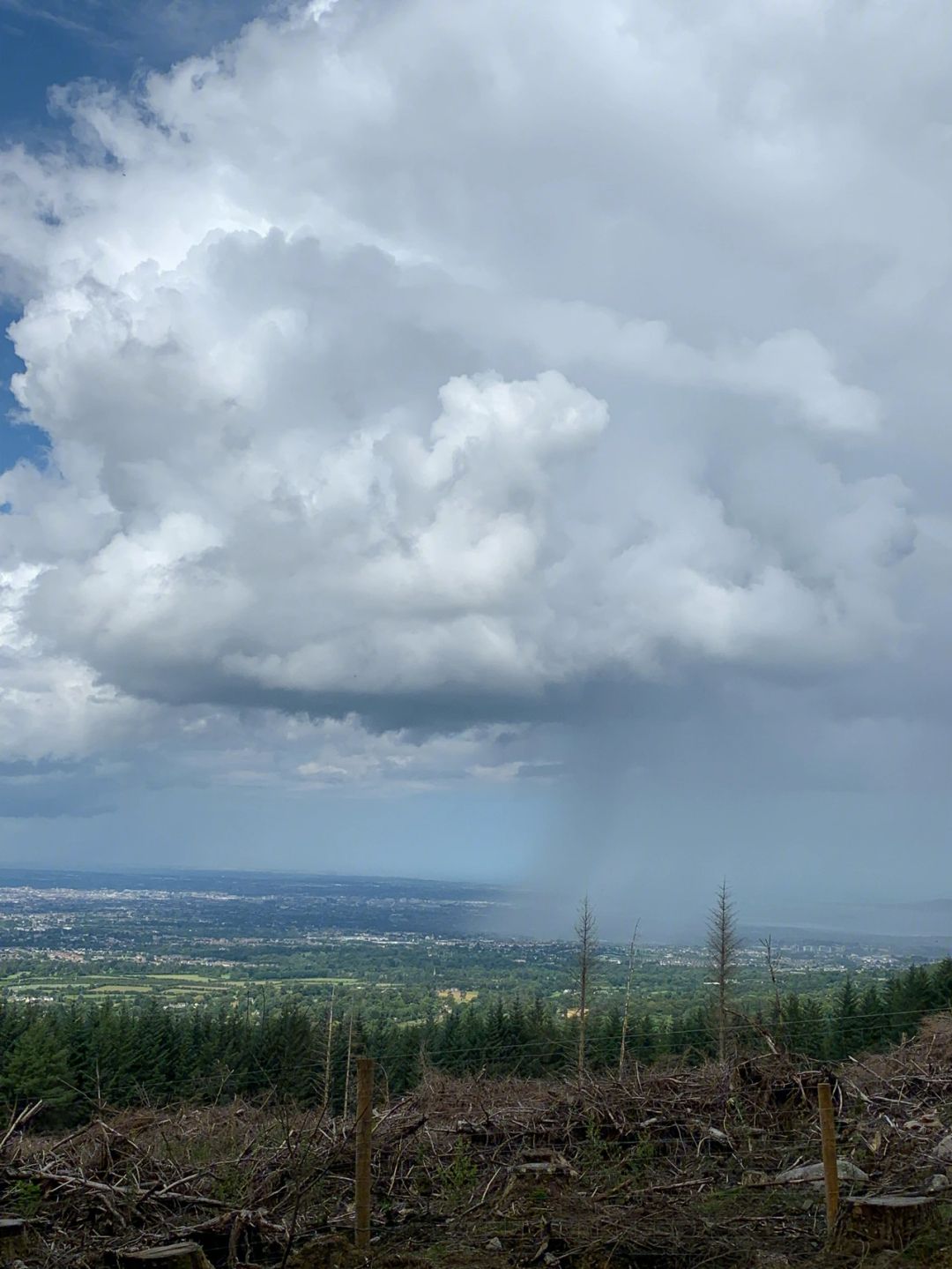 战术应变:对抗天气变化的策略 战术应变:对抗天气变化的策略