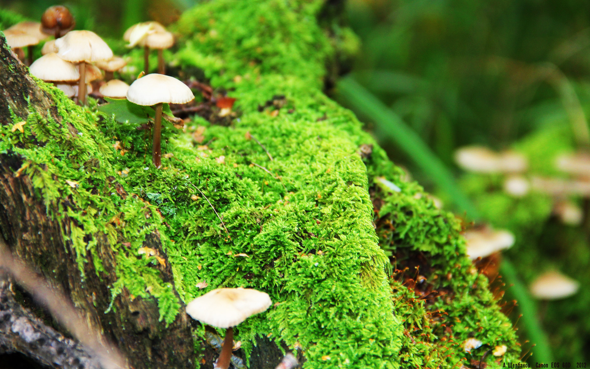 _天空极限吊索：飞跃云霄的运动奇迹_，北京极限天空体育文化有限责任公司