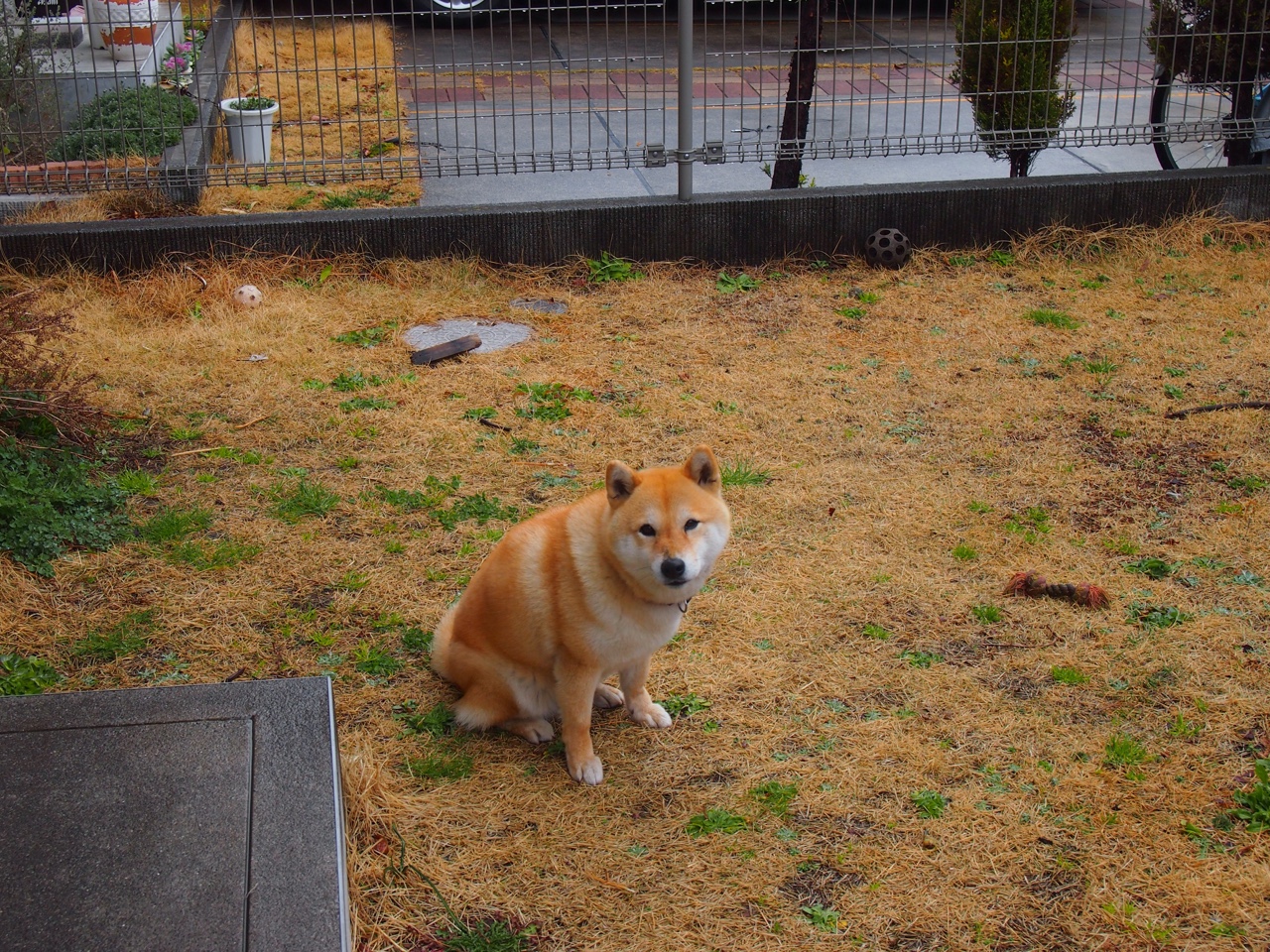 _营地野外运动节：自然、冒险与健康_，户外营地活动方案设计