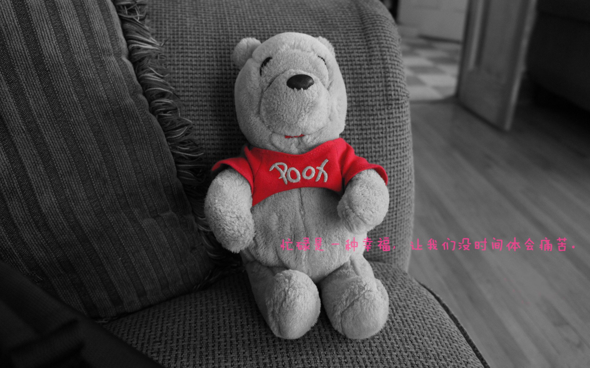 “野外生存：荒野中的速度与勇气”，这才是真正的野外生存