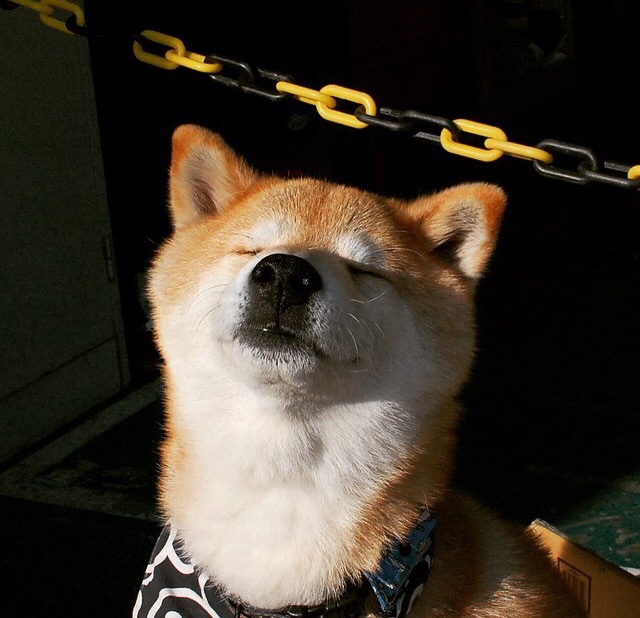 切尔西欧冠四强之路开启，击败劲敌，切尔西欧冠冠军时不时来群里看看