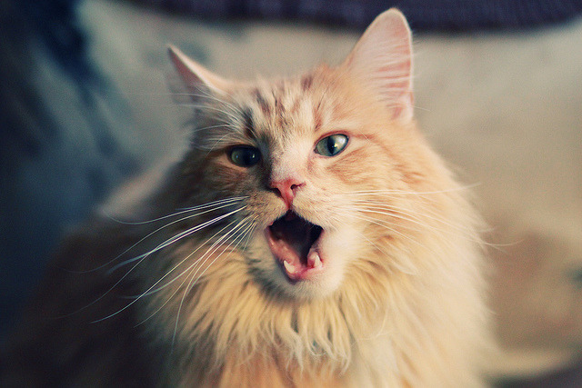 切尔西青训系统再次出精彩球员，切尔西青训井喷