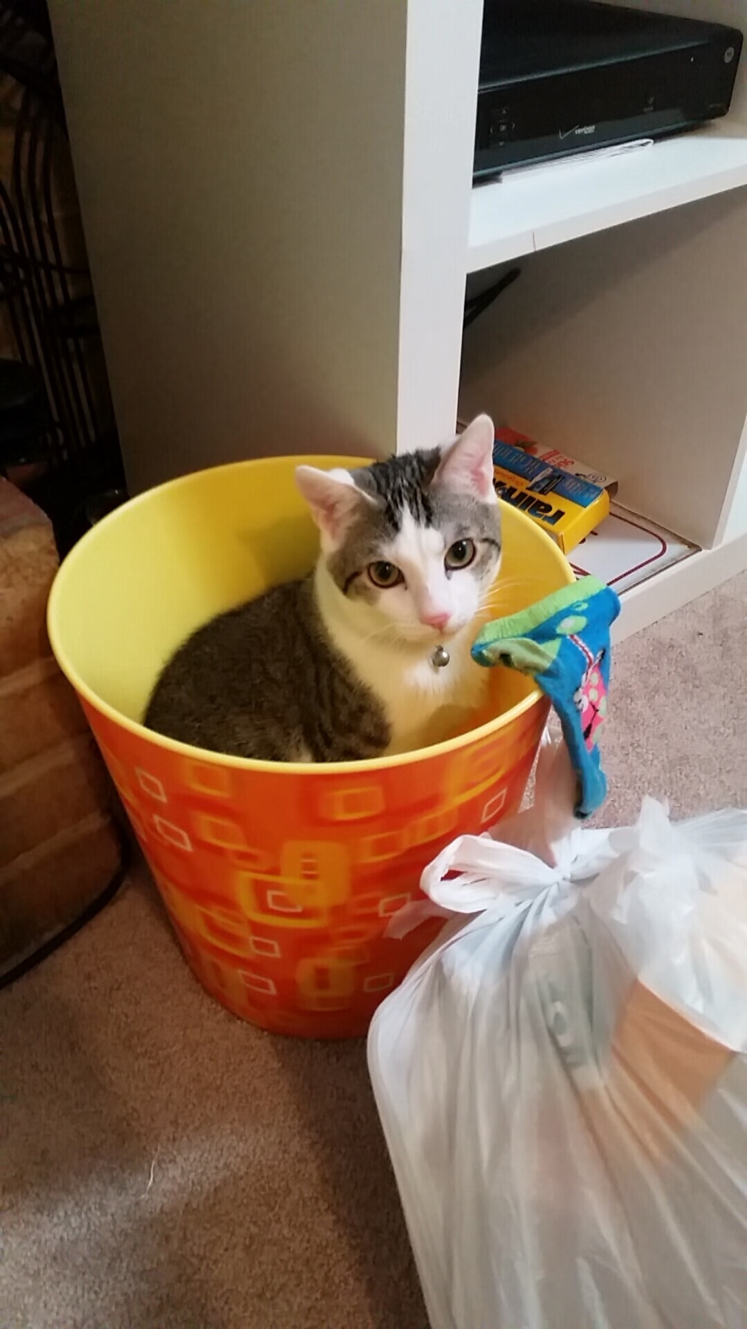 中国足球代表团访问欧洲，学习先进经验，中国足球谁去欧洲了