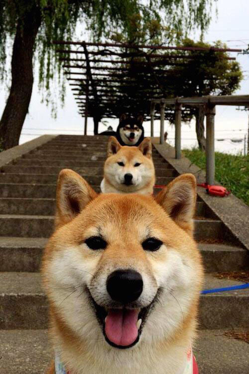 埃弗顿客场大胜诺里奇,豪取三分,埃弗顿队