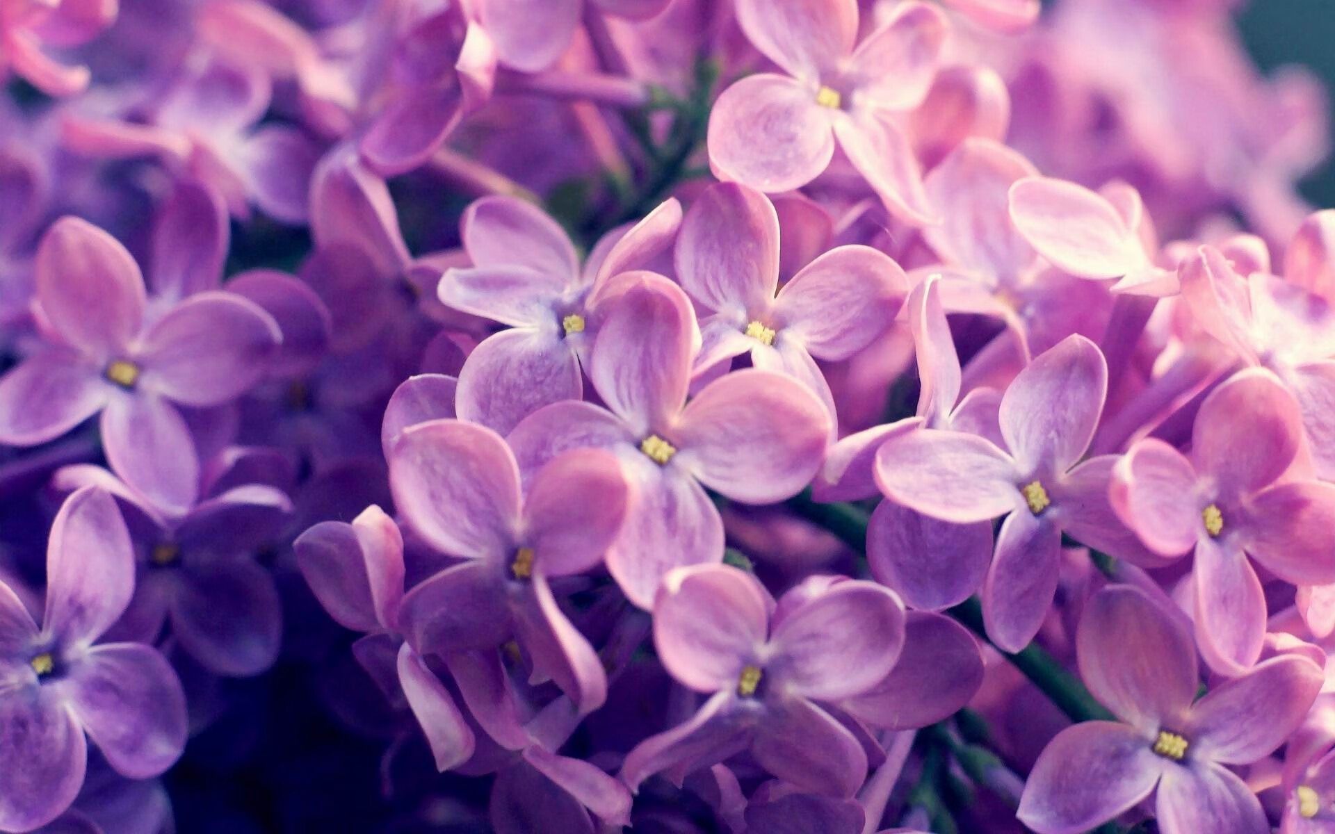 巴萨客场1-1战平西班牙人，保持不败纪录，巴萨客场1-1战平西班牙人,保持不败纪录的是谁