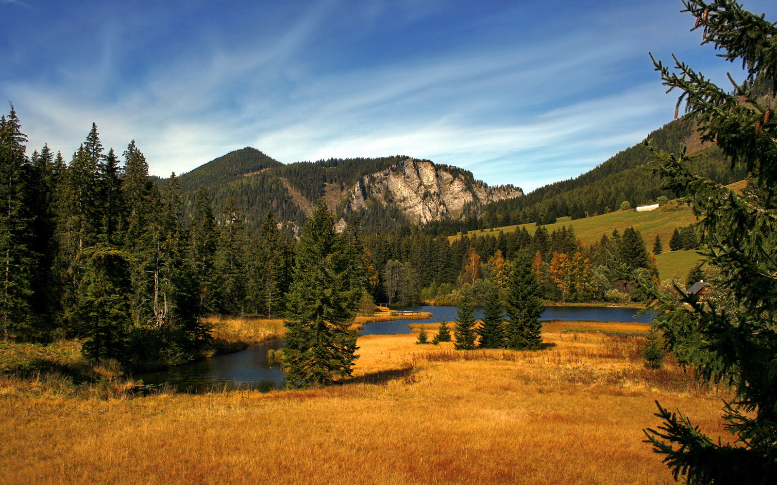 NBA球员专项体能训练周期设计与优化,nba训练项目