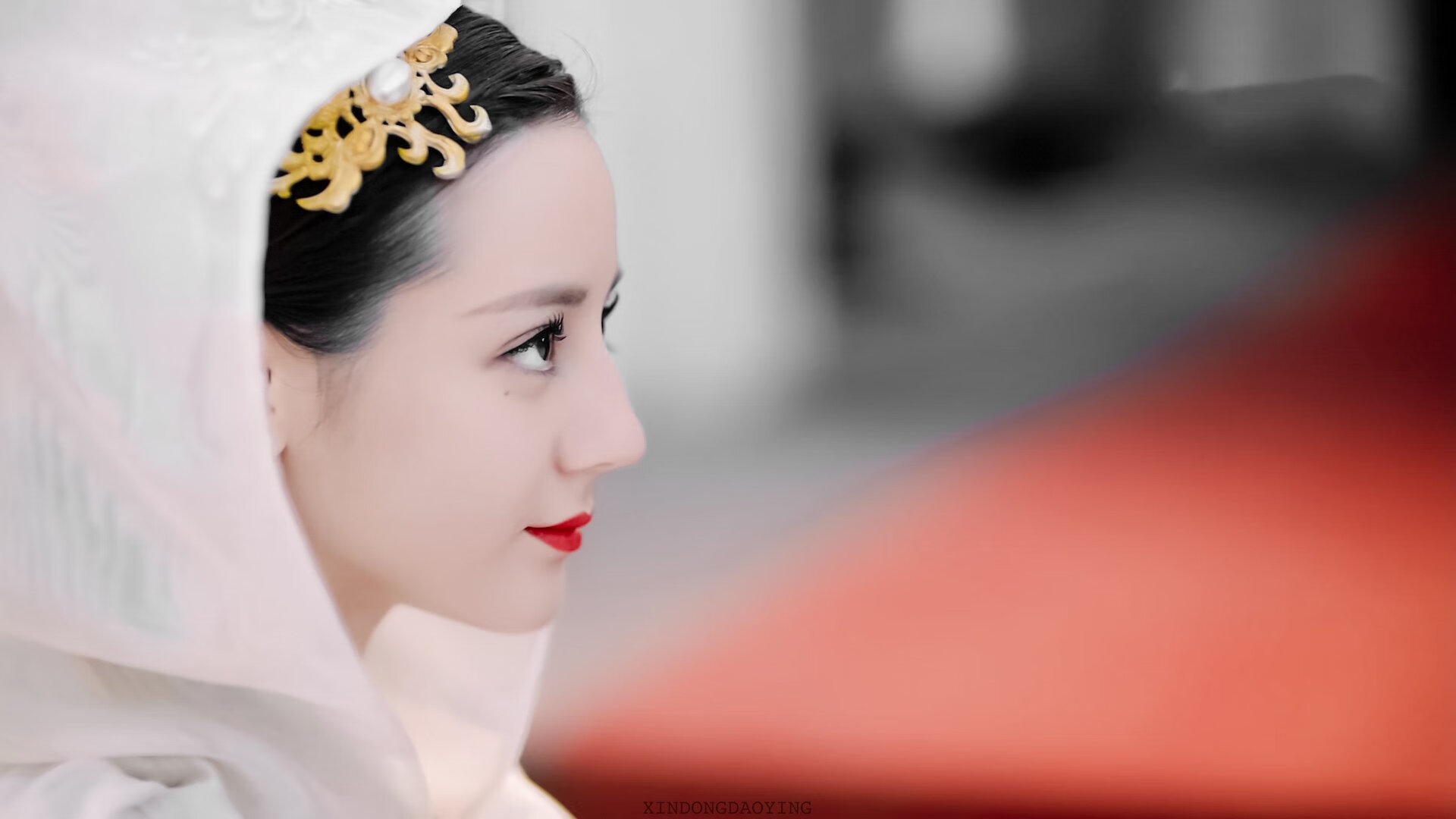 中美蝶泳后程体能储备策略分化明显，蝶泳业余