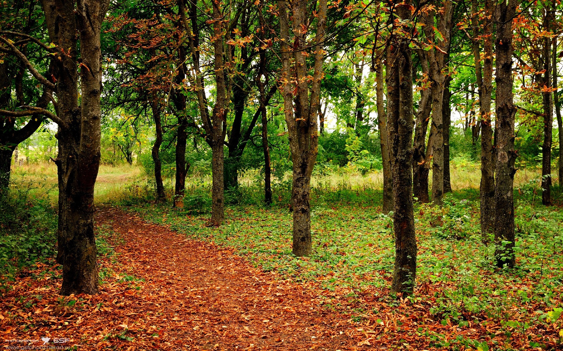 中超裁判员交流计划提升判罚稳定性,中超裁判员一场多少钱