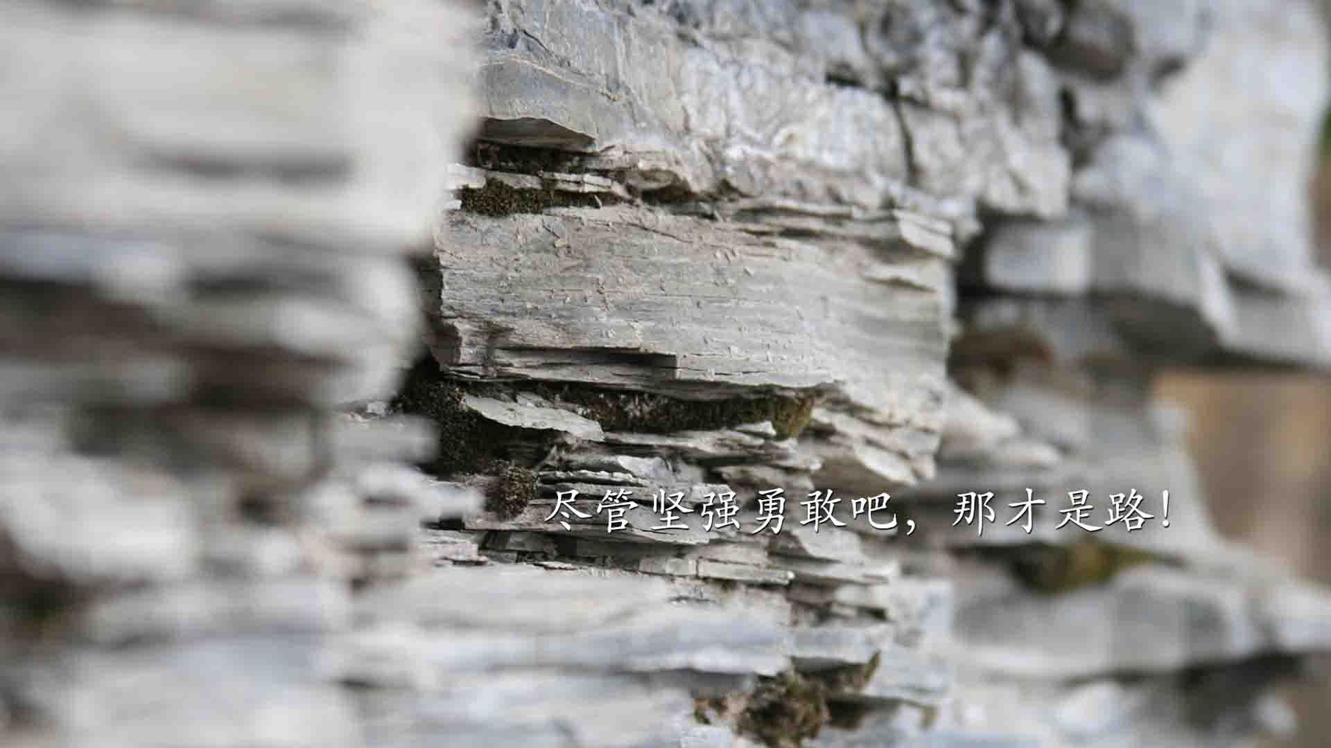 校园足球文化活动被边缘化，校园足球文化活动有哪些