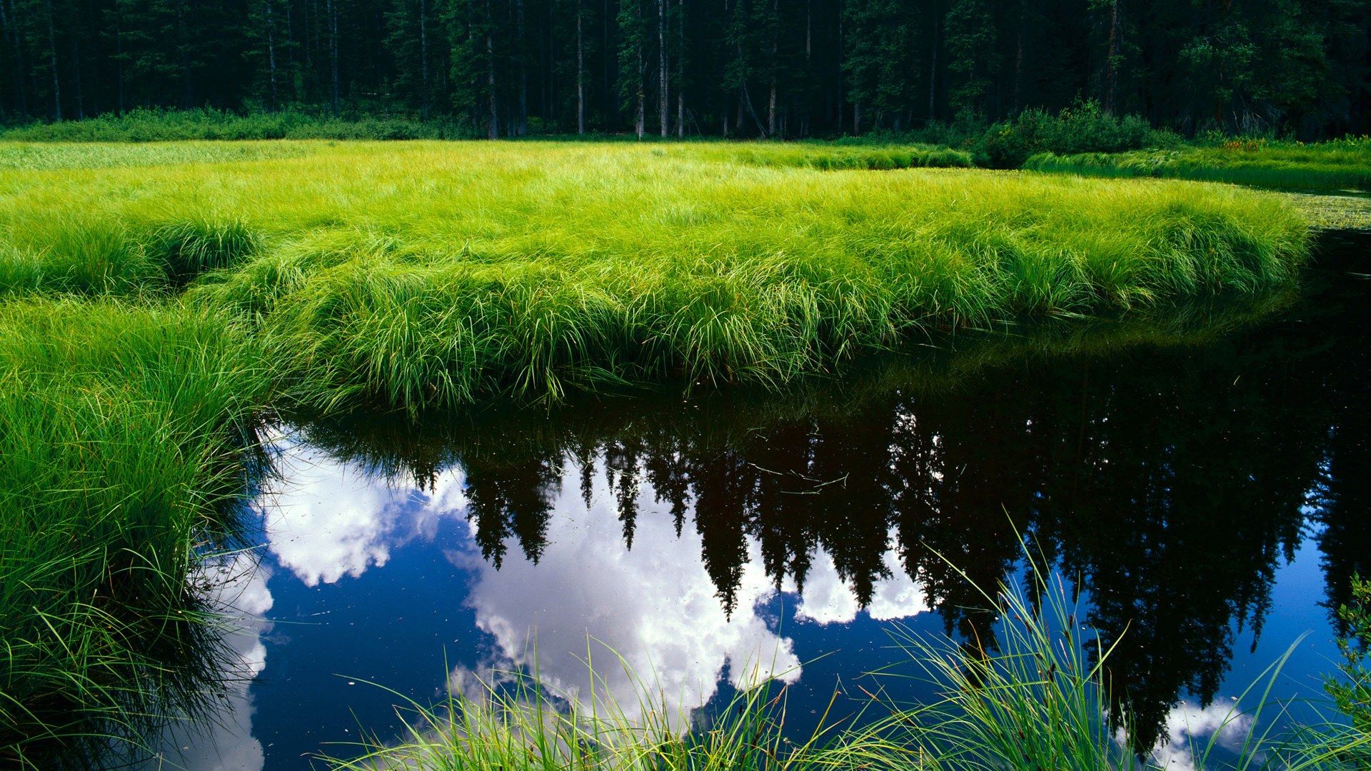 解析埃及赛制：赛事设置如何推动乒乓技术发展，埃及乒乓球名将