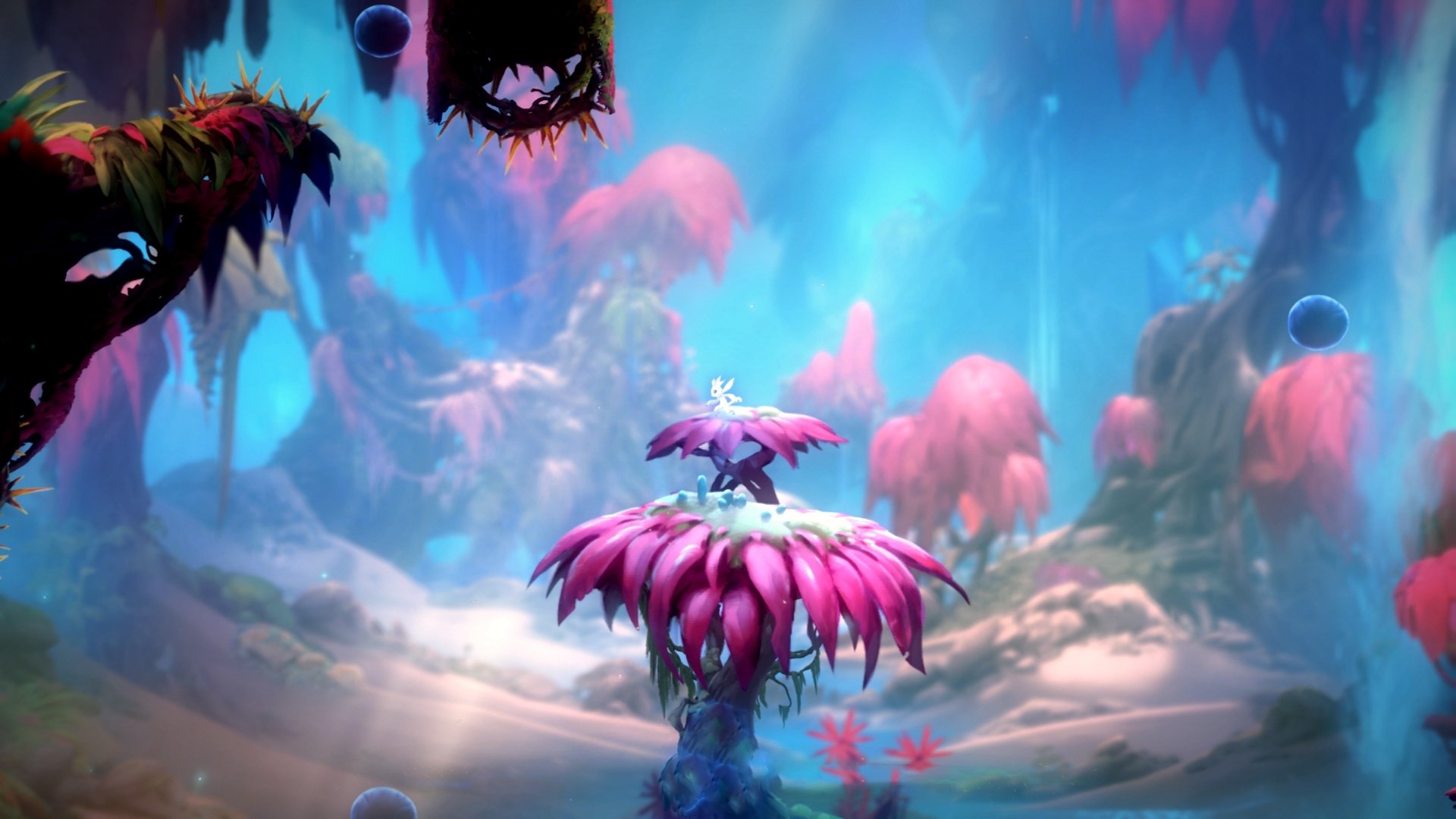 新闻中心发布体育展会进场说明及赞助方名单,体育展会的主题