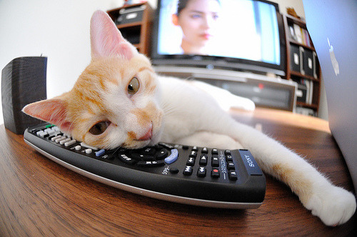 雷霆发布球员漫画形象塑造品牌亲和力,雷霆的球员名单