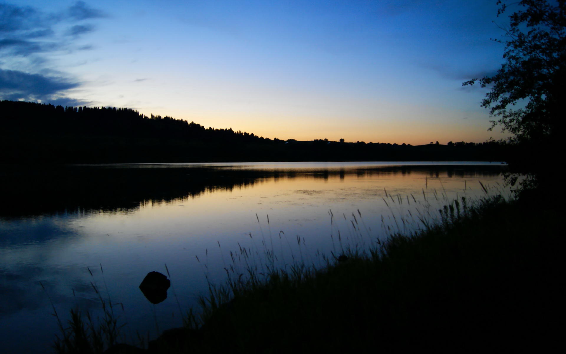 麦考在全黑队中的作用：战术领袖与球队脊柱，麦考3个总冠军
